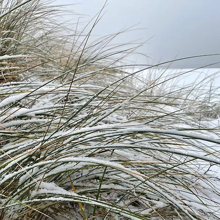 Harmonie * Heringsdorf (Usedom)