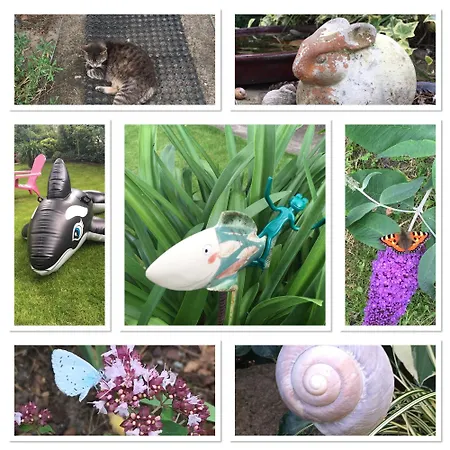 Harmonie Heringsdorf (Usedom)