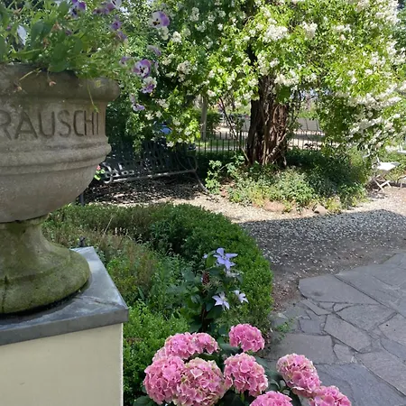Harmonie * Heringsdorf (Usedom)